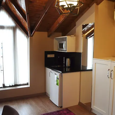 Apartment Mavi Halic *